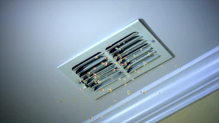 Best Commercial Air Duct Cleaning  in Centralia, MO